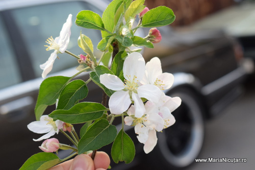 Ca să ceri, trebuie să meriți! O lecție de aur din viața mea