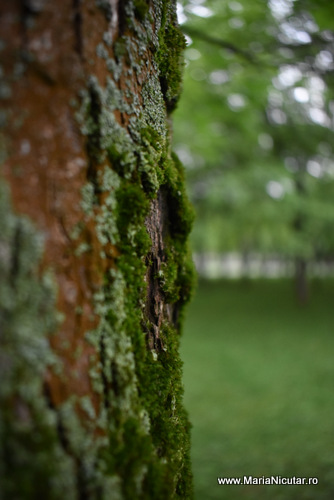 Nu ai nevoie de nicio pregatire si de niciun curs pentru a medita