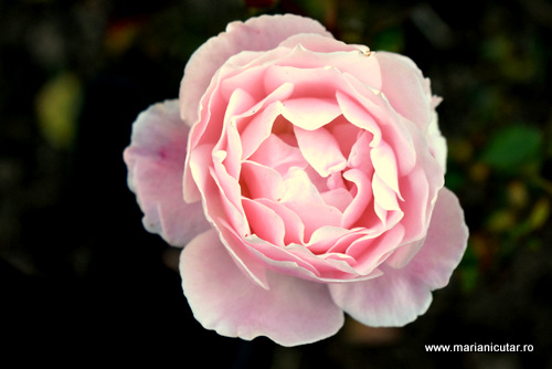 8 rezolutii magice pentru anul 2021